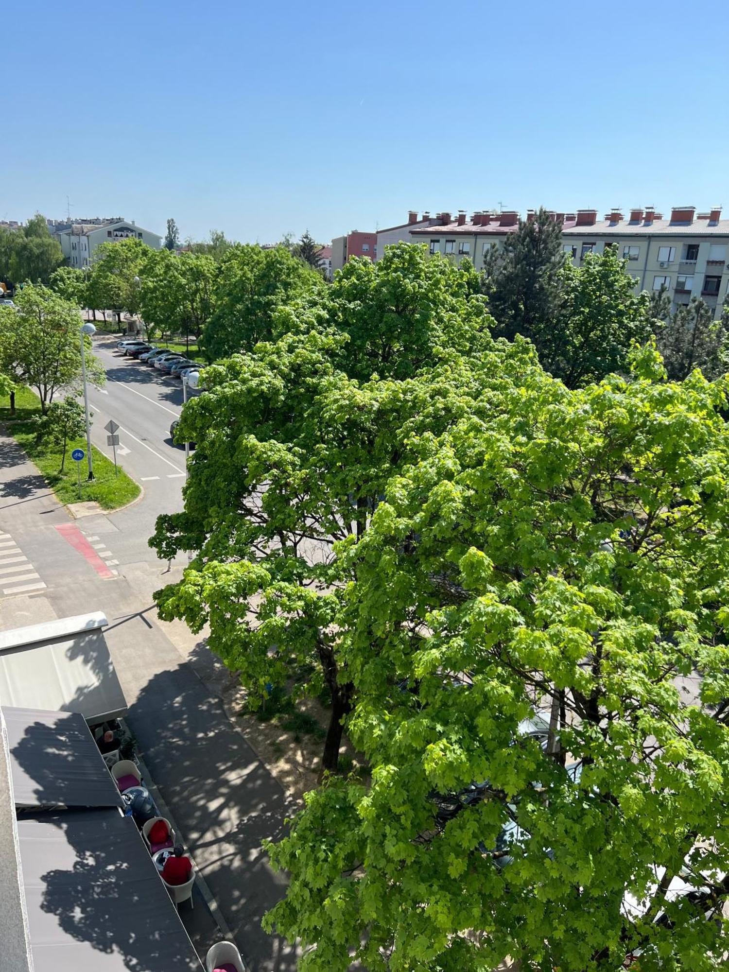 Rita Apartment-Free Parking&Wifi 萨格勒布 外观 照片